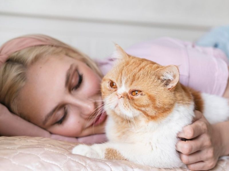 Cats Know When You'r Sick